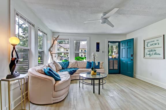 Bright, cozy living room with sunny windows and a stylish curved sofa.